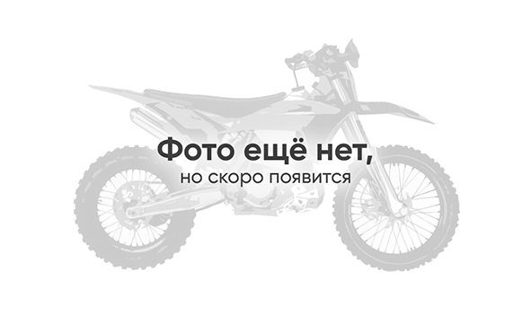 Мотоцикл Regulmoto CR-Z 300 ПТС